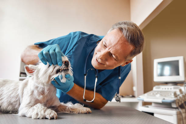 Best After-Hours Emergency Dentist in Emah, OK